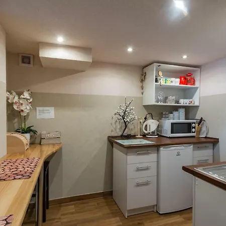 홈스테이 Mazurkowy Gosciniec 자코파네